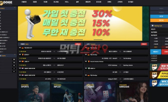 도지 먹튀